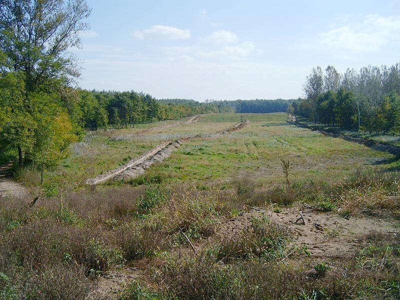 2010.10.10. 054.jpg